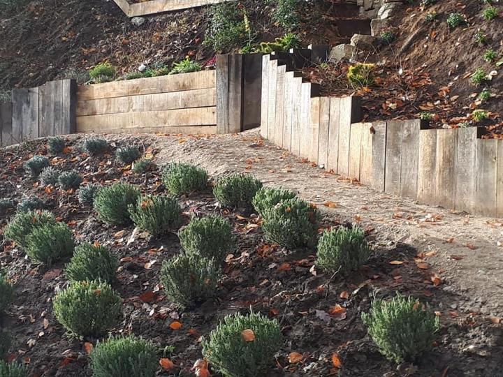 Entretien de jardin Montereau-Fault-Yonne