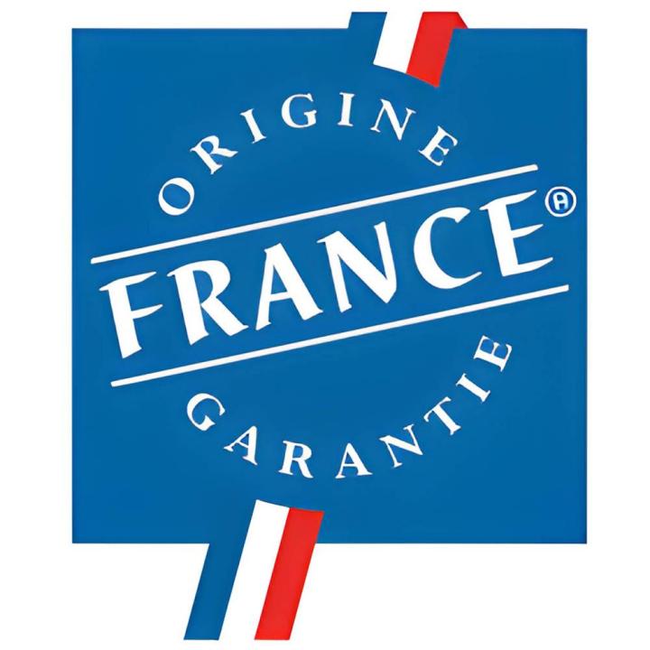 Logo france