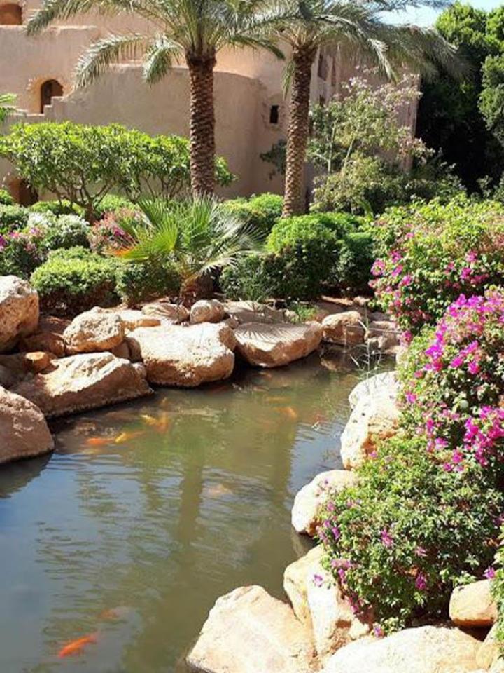 Construction de piscine
