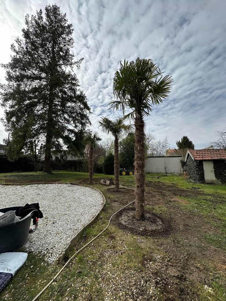 Élagage Montereau-Fault-Yonne 