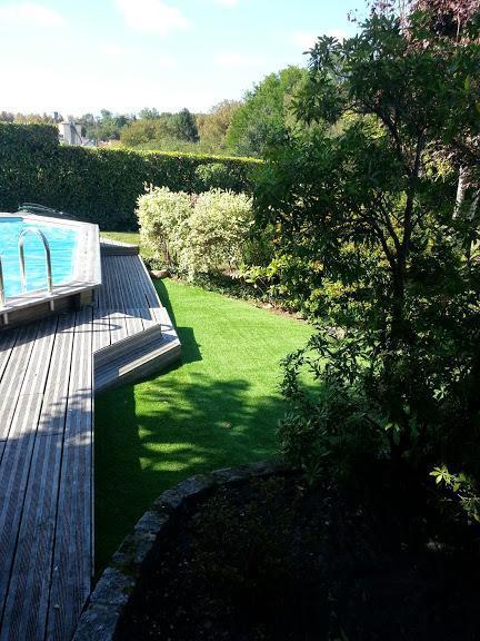 Élagage Montereau-Fault-Yonne