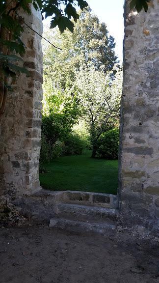 Service d’entretien de jardin Montereau-Fault-Yonne 